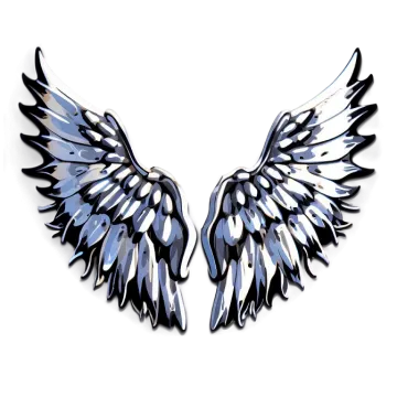 a pair of wings on a white background