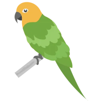 a green and yellow parrot sitting on a perch