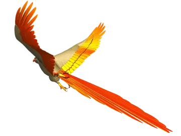 a red and yellow bird flying in the sky