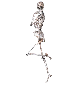 a skeleton running on a white background