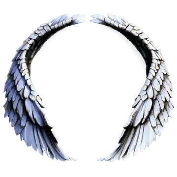 a pair of wings on white background