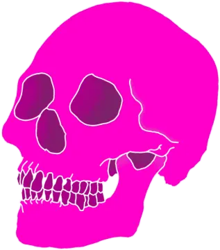 a pink skull on a white background