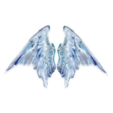 a pair of wings on a white background