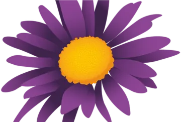 a purple flower with yellow center