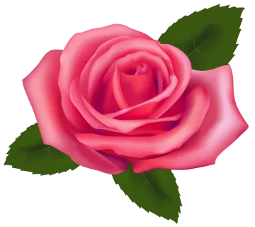 a pink rose with green leaves