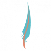 a blue and orange feather on a white background