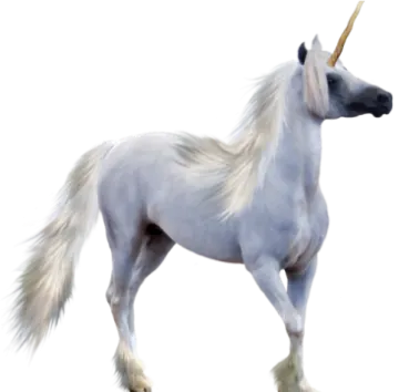 a white unicorn standing on its hinds