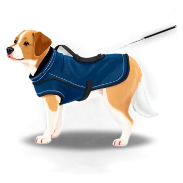a brown and white dog wearing a blue jacket