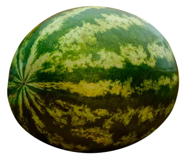 a large green watermelon on a white background