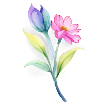 two watercolor flowers on a white background