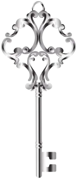 a silver key on a white background vector