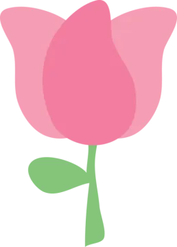 a pink flower on a white background