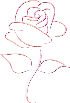 a drawing of a rose