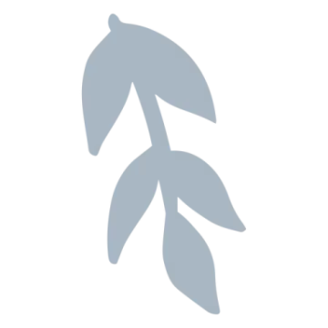 a branch with leaves on it
