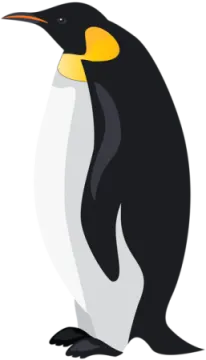 a penguin standing in front of a white background