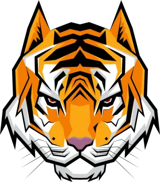 the head of a tiger