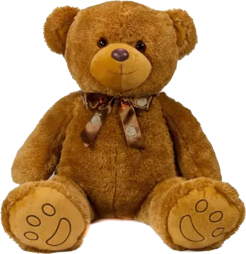 a brown teddy bear sitting on a white background