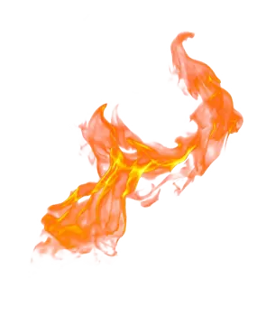 fire on a white background