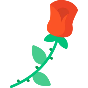 a red rose on a white background