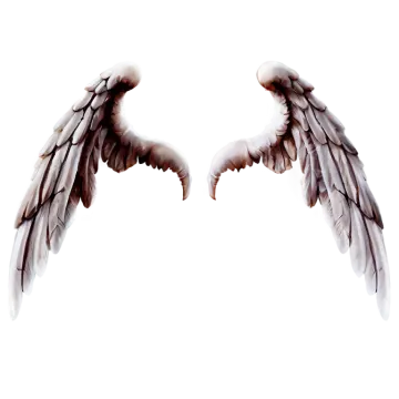 two white wings on a white background