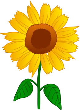 a sunflower with green leaves