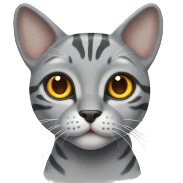 a gray cat with yellow eyes