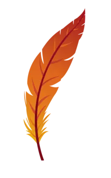 an orange feather on a white background