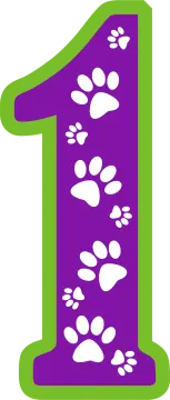 a purple and green number one with paw prints