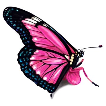 a pink butterfly on a white background