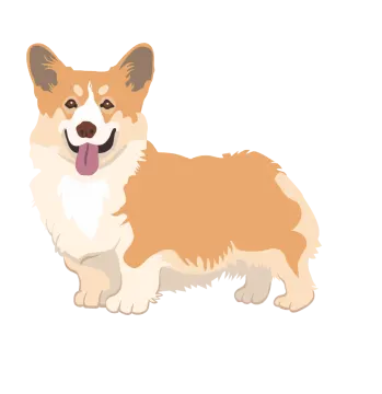 a brown and white dog with its tongue out
