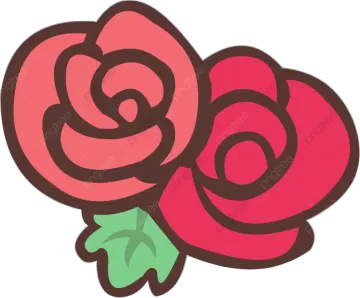 two red roses with green leaves on white background