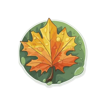 a maple leaf with water droplets on it