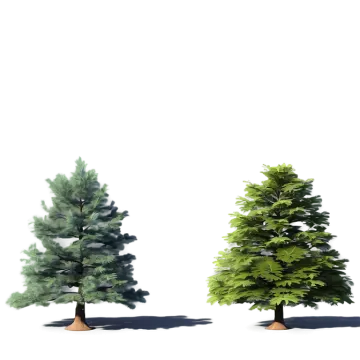 three different trees on a white background