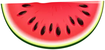 a slice of watermelon