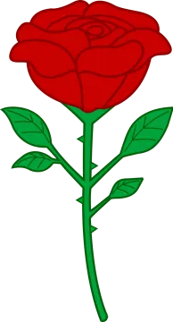 a red rose with green leaves