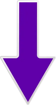 a purple arrow icon