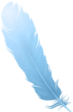 a blue feather on white background