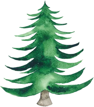 a watercolor christmas tree