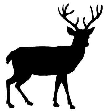 a deer silhouetted on a white background