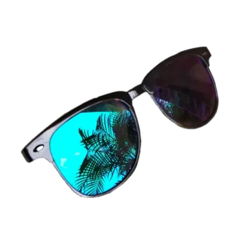 a pair of sunglasses with palm leaves on them