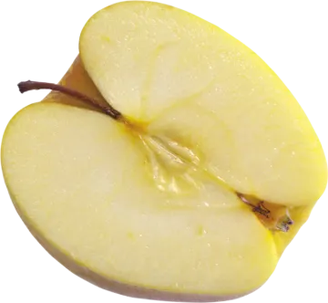 an apple cut in half on a white background