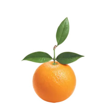 an orange with a leaf on top of it