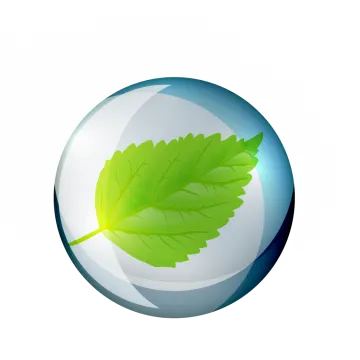 a glass ball with a green leaf inside