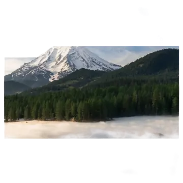 a mountain covered in fog with trees and snow