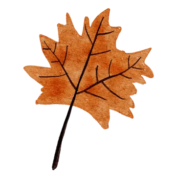 a brown leaf on a white background