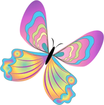 a colorful butterfly on a white background