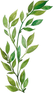 a watercolor painting of green leaves