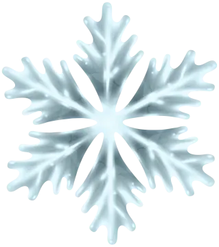 a snowflake on a white background
