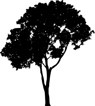 a black and white silhouette of a tree