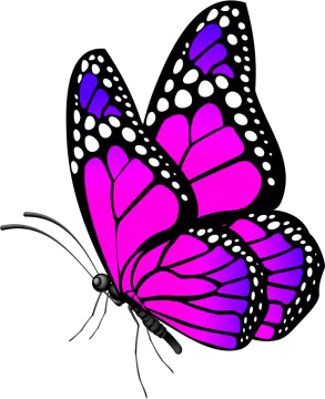 a purple butterfly with white dots on it's wings